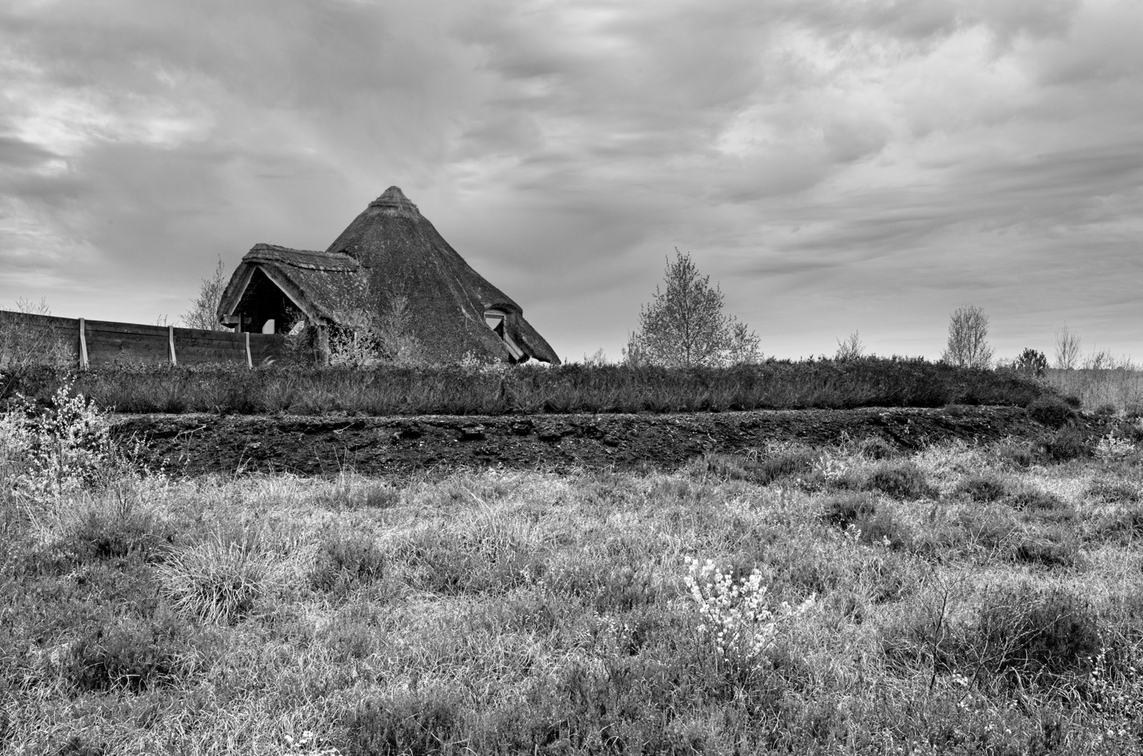 A cabin in a bog