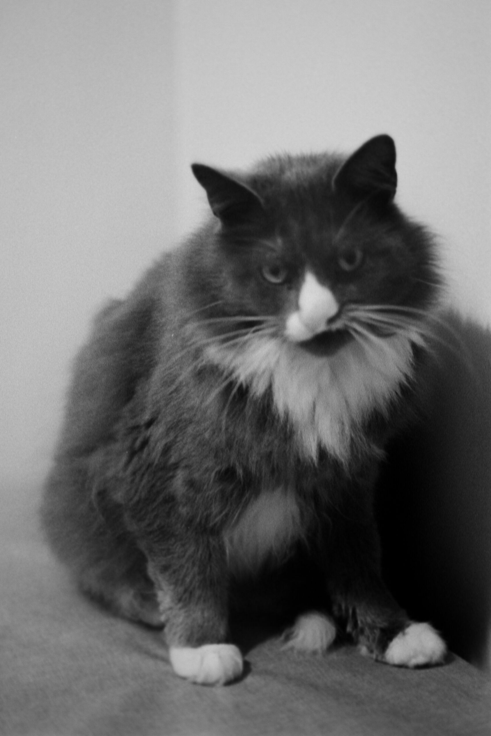 Charlie, Dublin , Ireland